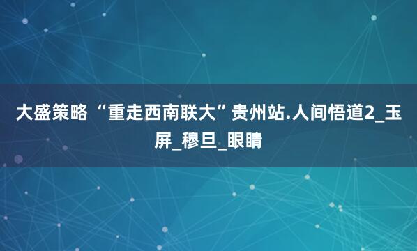 大盛策略 “重走西南联大”贵州站.人间悟道2_玉屏_穆旦_眼睛