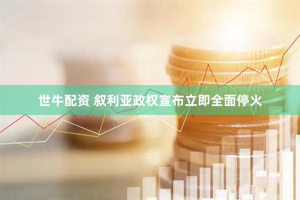 世牛配资 叙利亚政权宣布立即全面停火