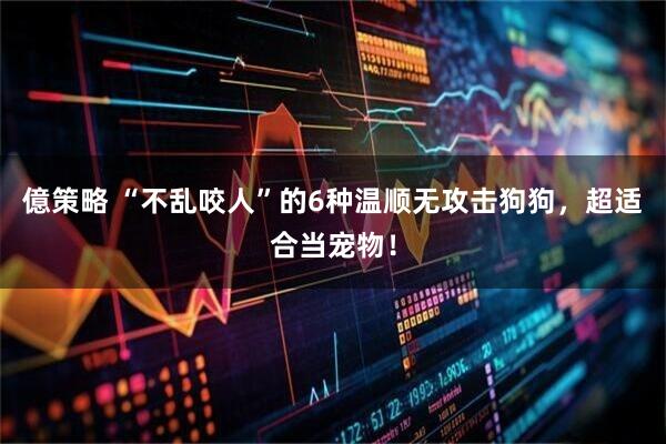 億策略 “不乱咬人”的6种温顺无攻击狗狗，超适合当宠物！